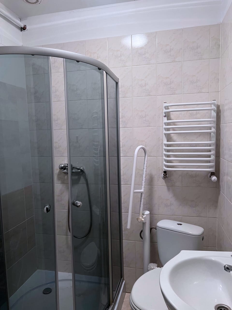 Towels, soap, shampoo, toilet paper