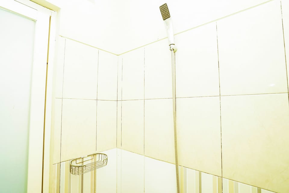 Single Room | Bathroom | Shower, bidet, towels