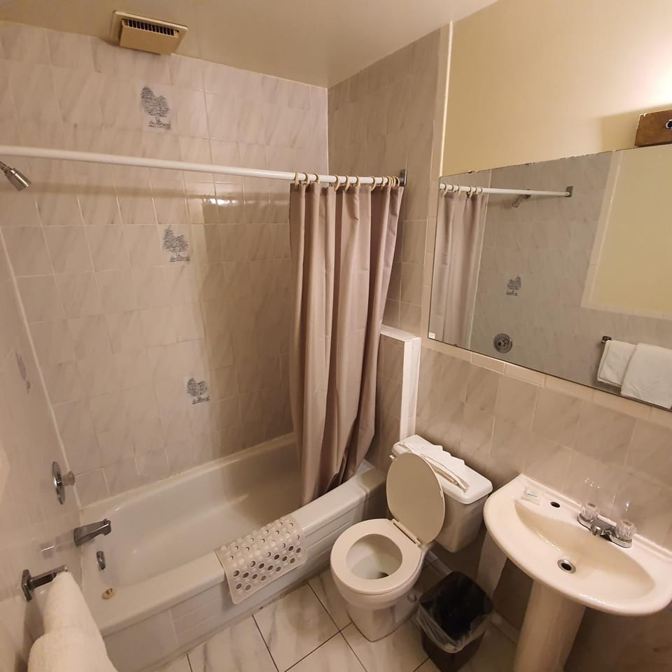 Shower, towels