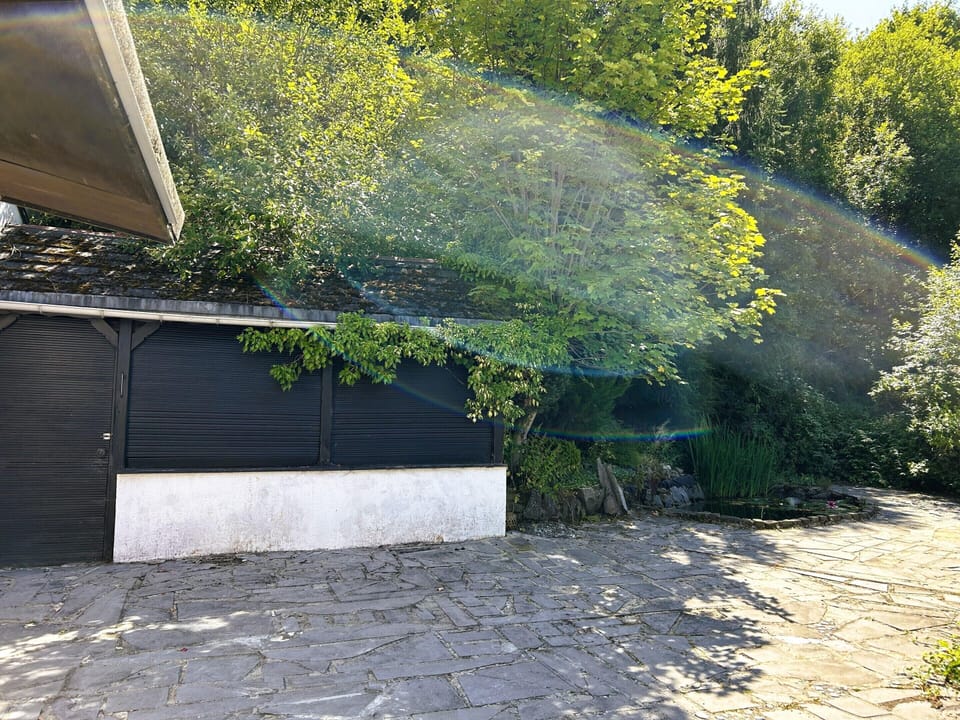 House | Property grounds