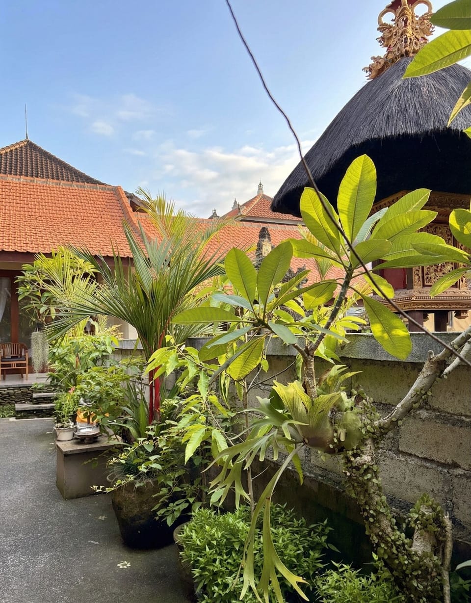 Garden view
