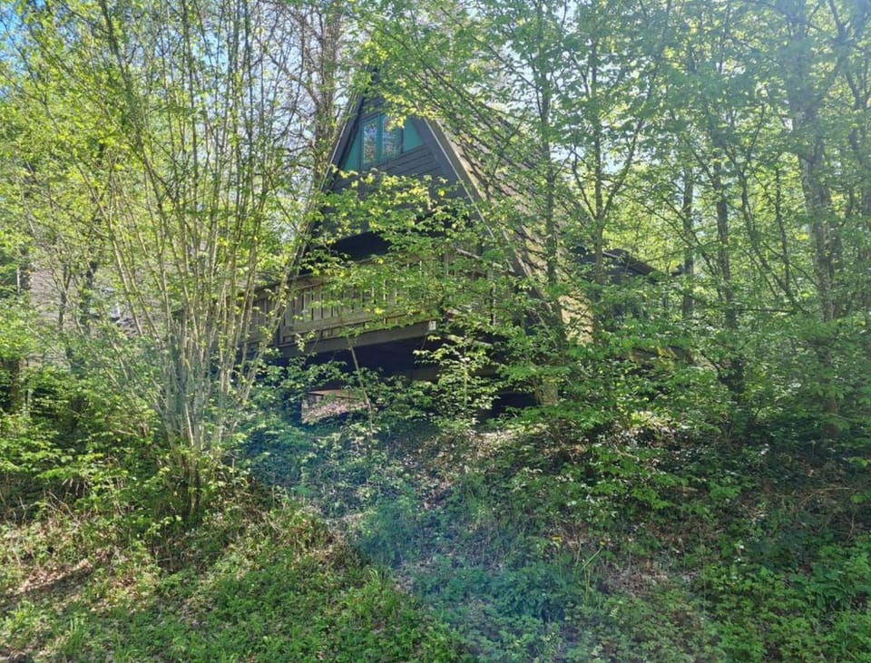 Chalet | View from property