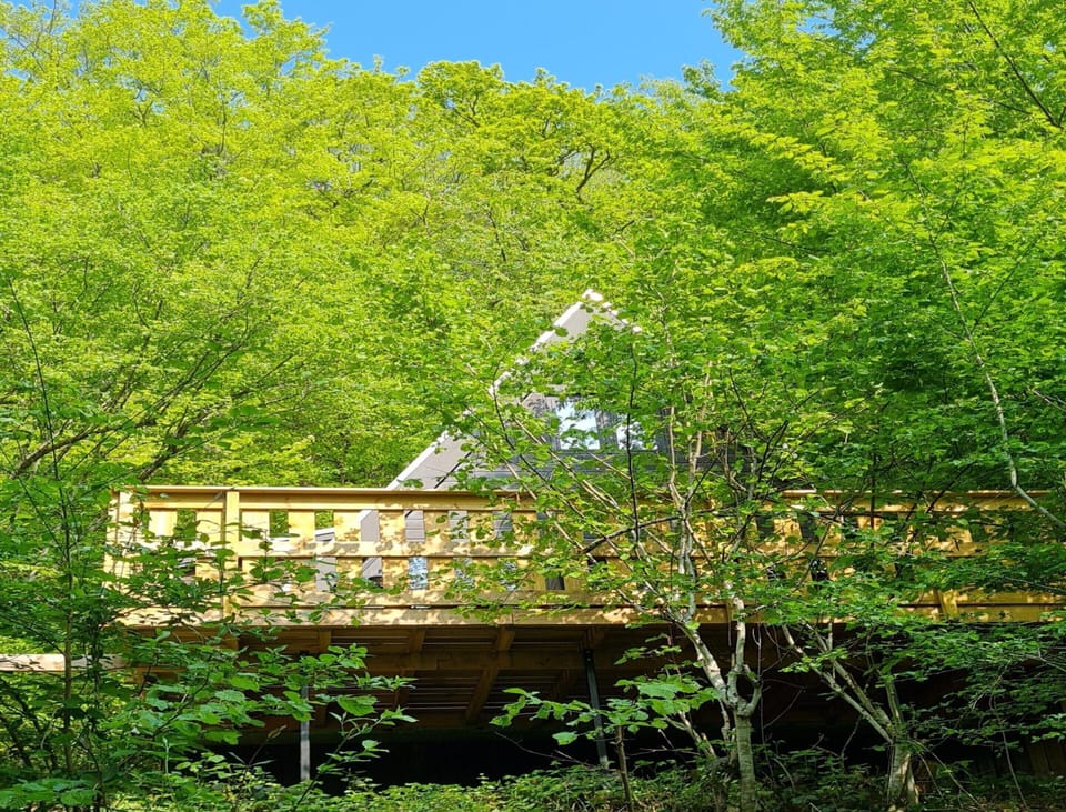 Chalet | View from property