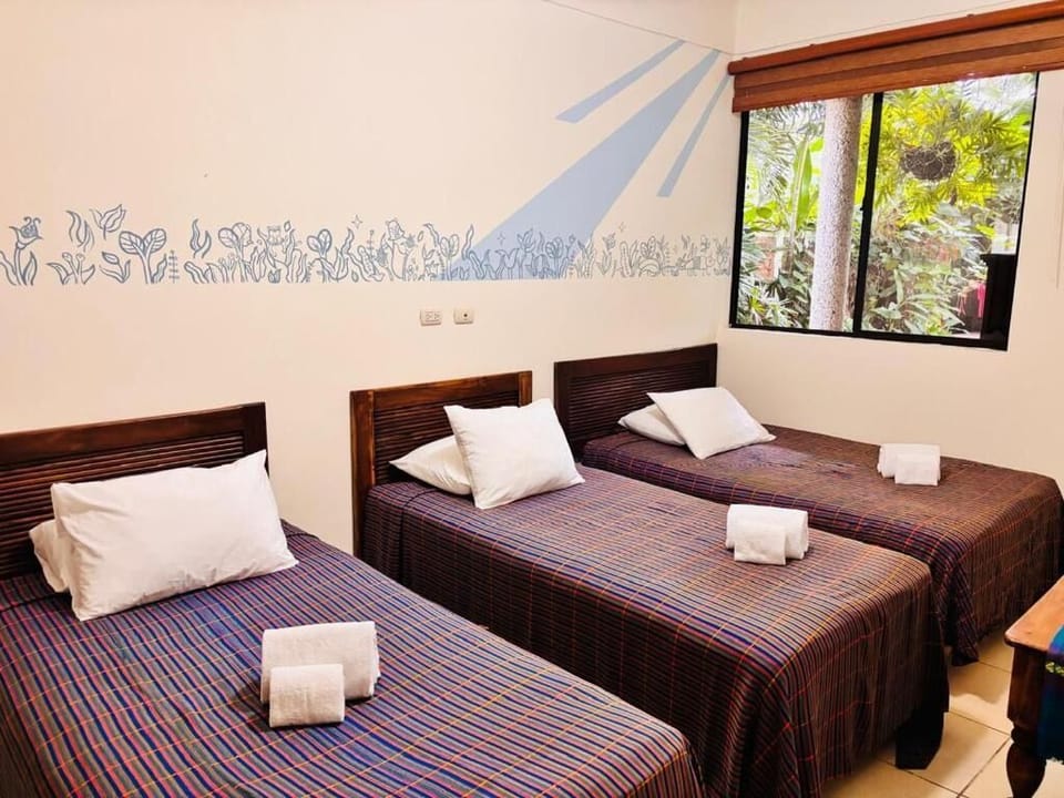 Premium bedding, desk, iron/ironing board (on request), WiFi (free)
