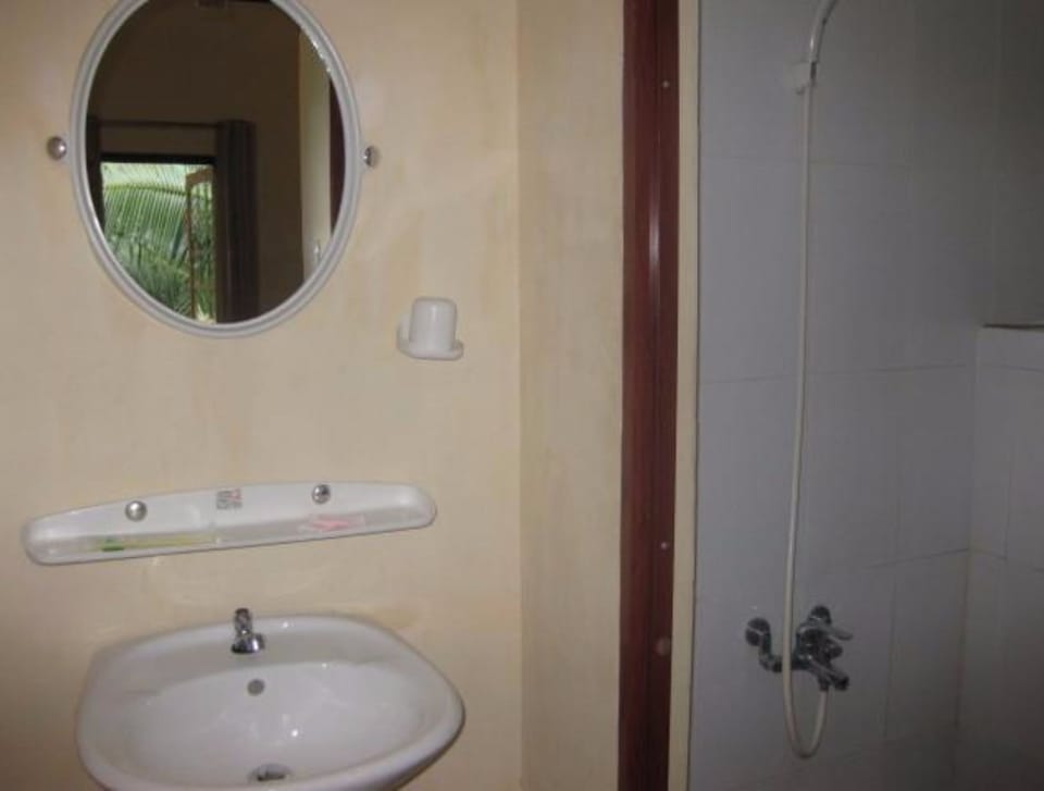 Shower, free toiletries, hair dryer, towels