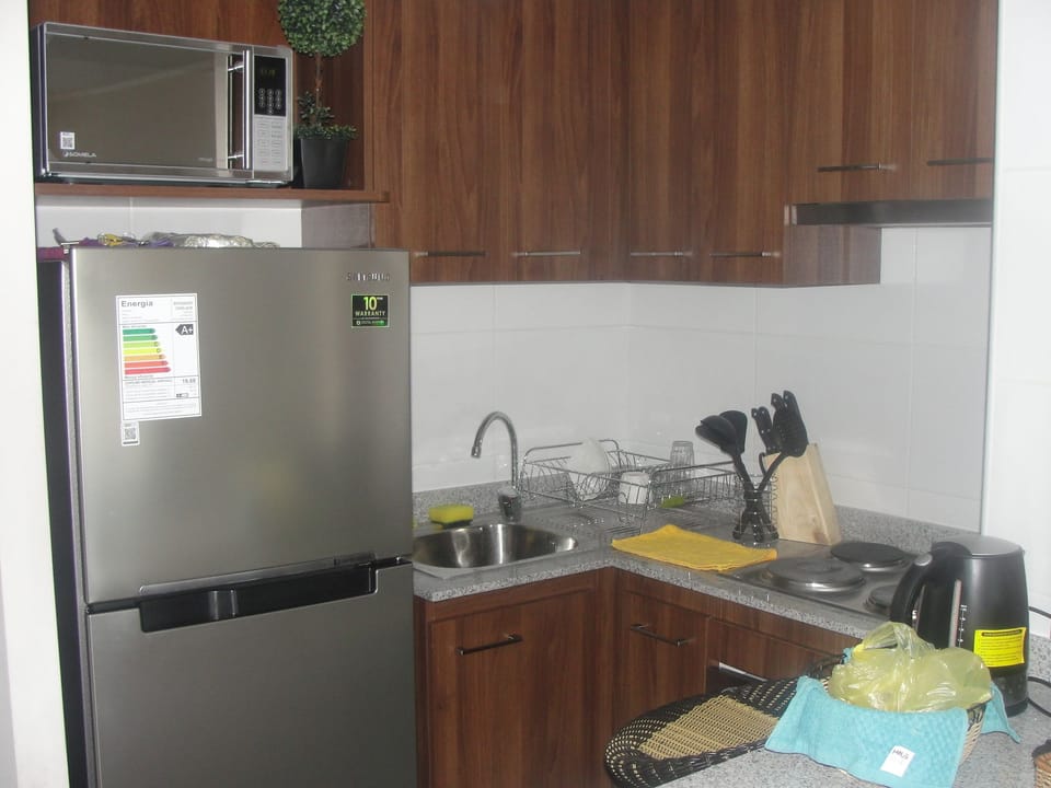 Family Apartment, 2 Bedrooms | Private kitchen | Full-size fridge, microwave, oven, stovetop