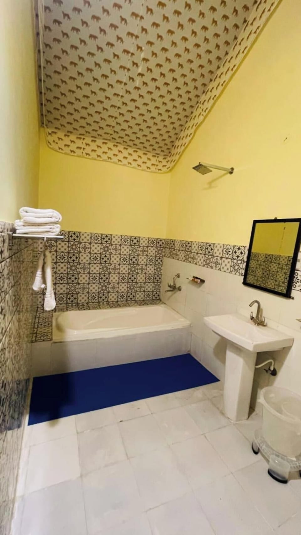 Maharaja Cottage | Bathroom