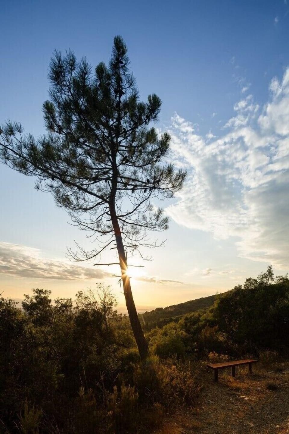 Land view from property