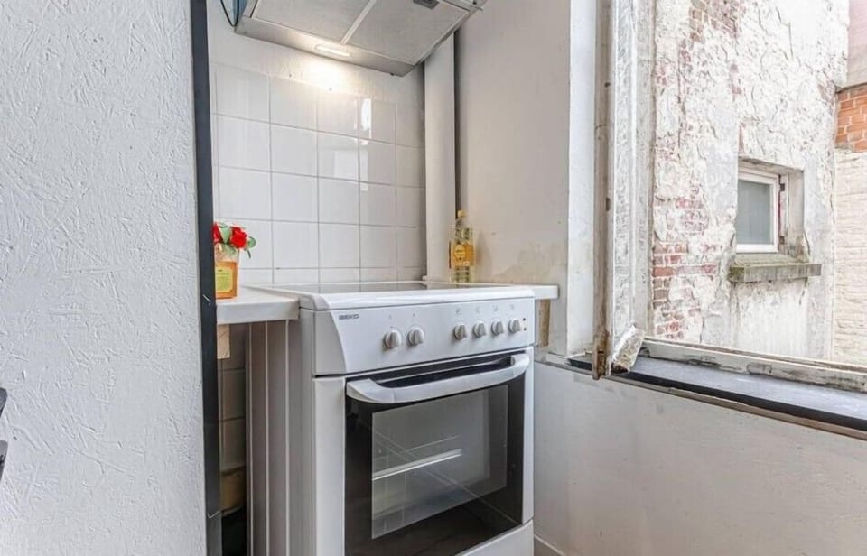 Basic Apartment | Private kitchen | Fridge, microwave, oven, stovetop