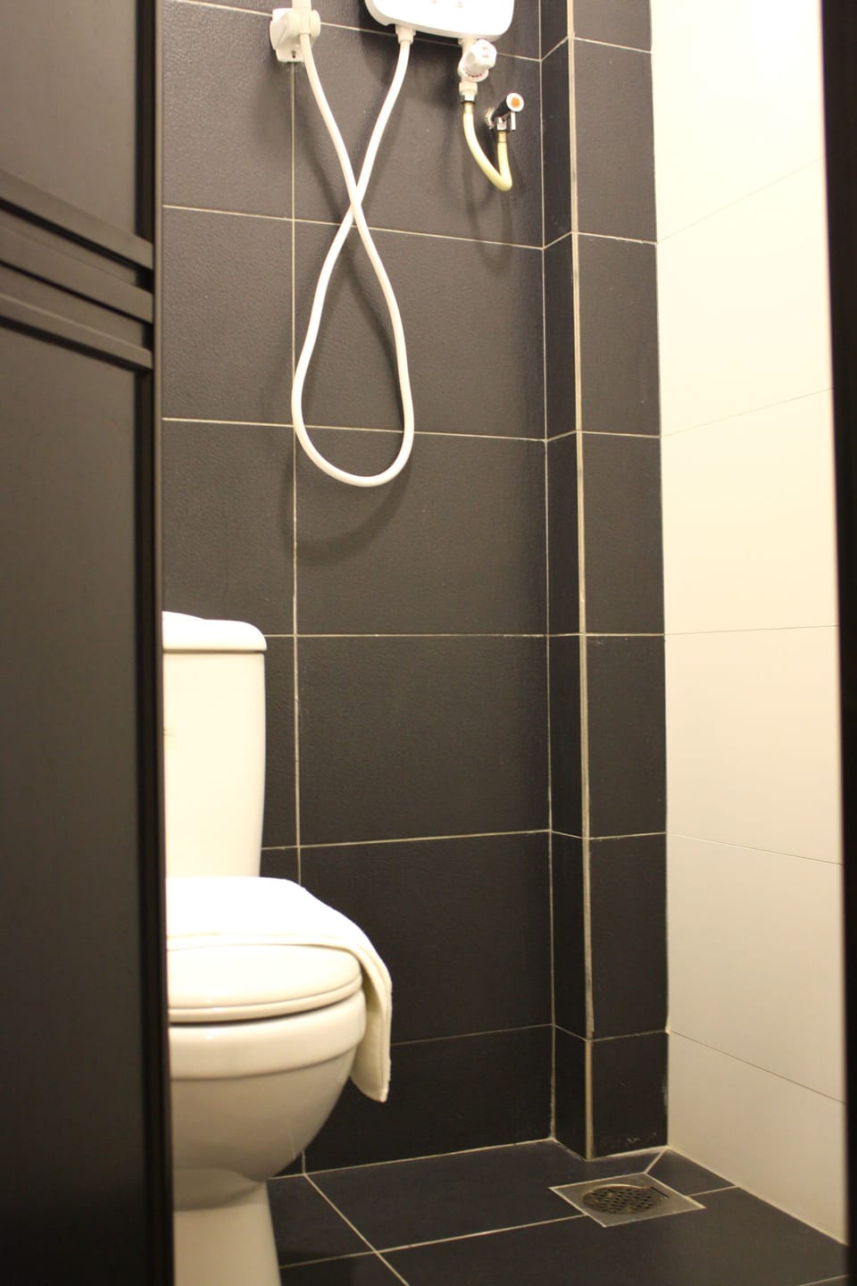 Shower, free toiletries, bidet, towels
