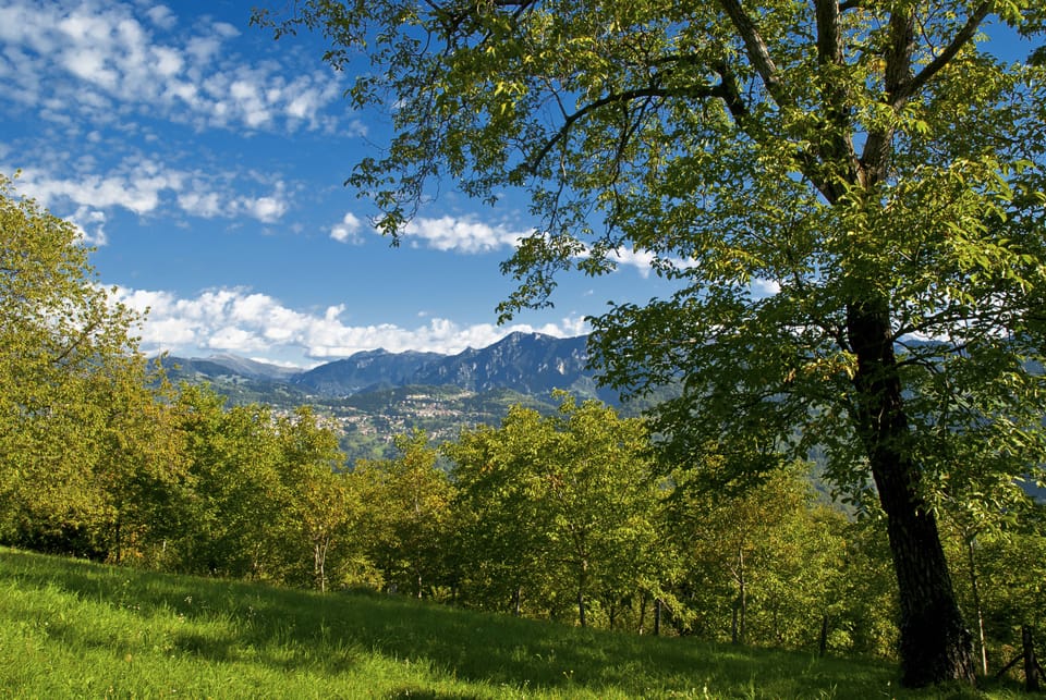 Mountain view