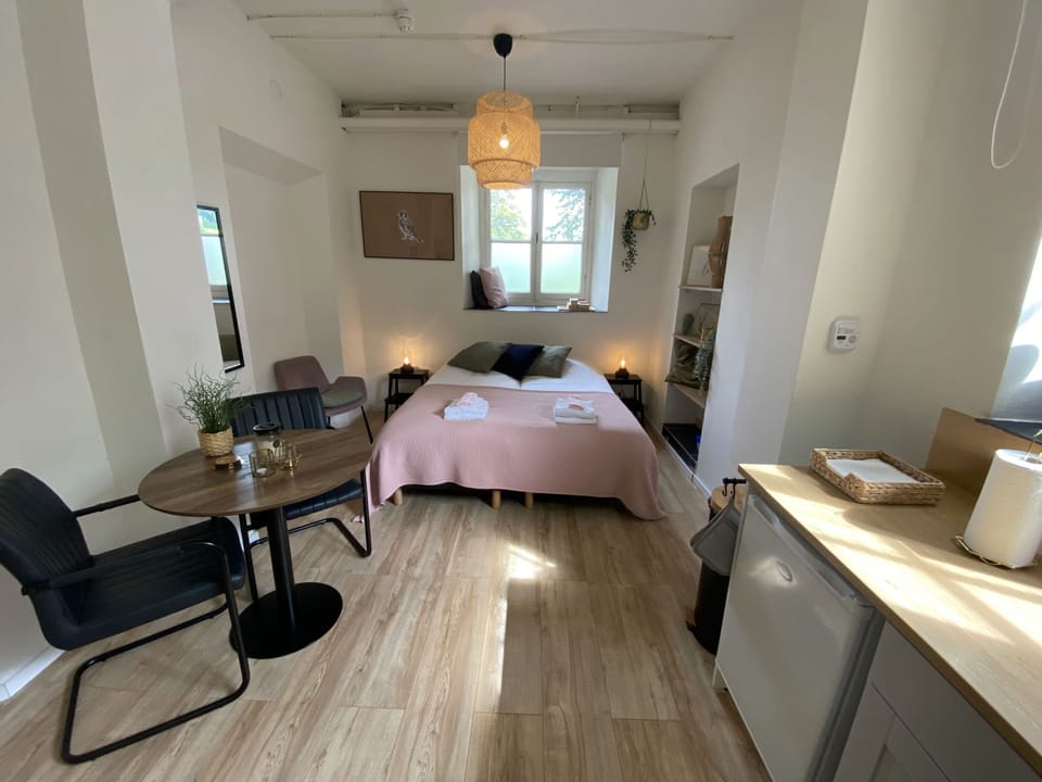 Modern Studio 3 in Historic Abbey Apartment in Maastricht