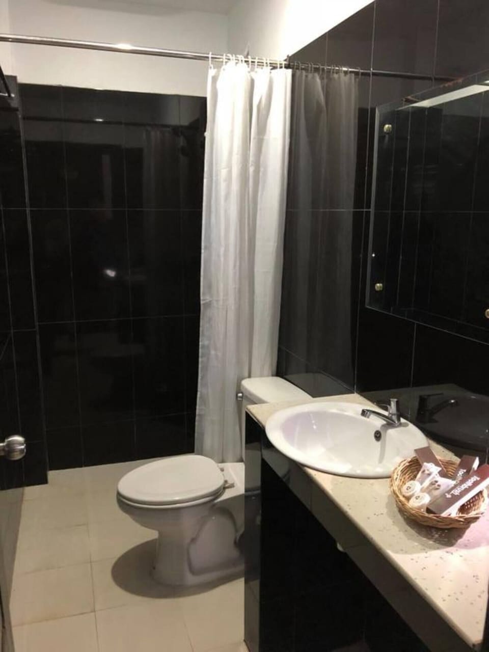 Shower, free toiletries, bidet, towels