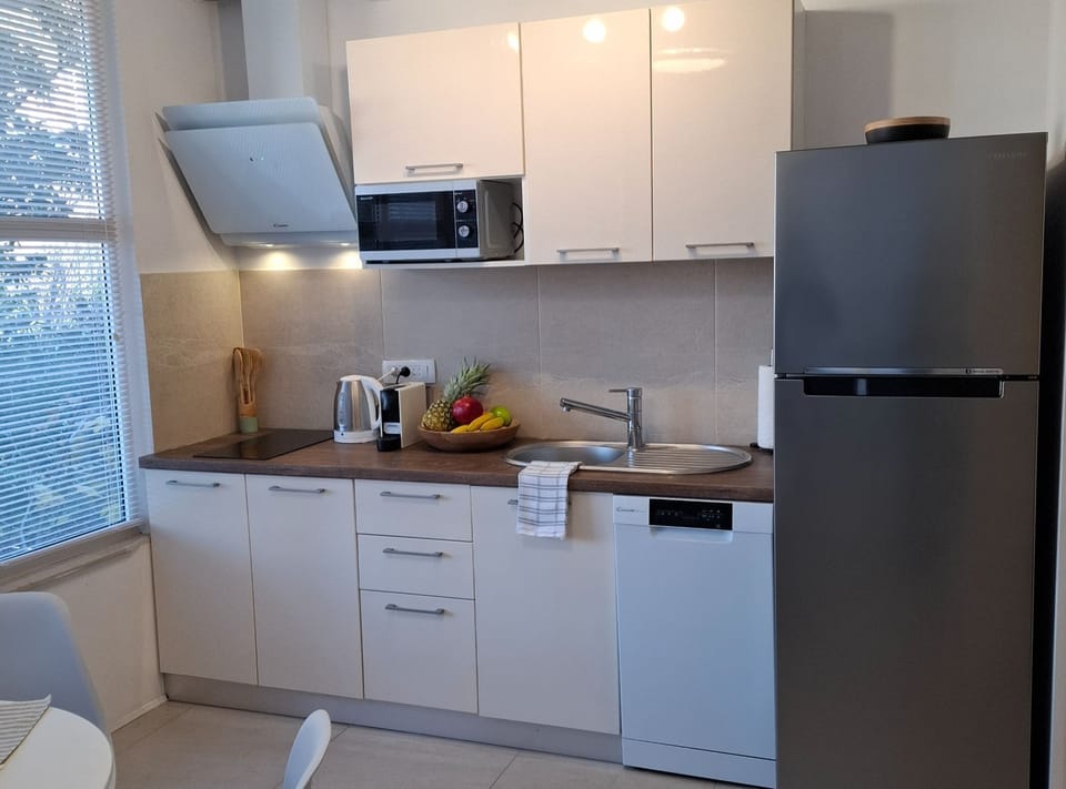 Apartment (Magnolia Art Studio) | Private kitchen | Fridge, coffee/tea maker