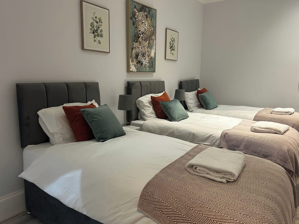 2 bedrooms, iron/ironing board, free WiFi, bed sheets