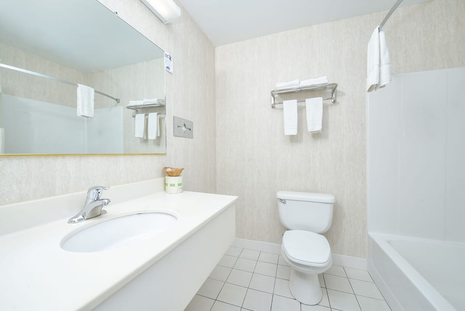Combined shower/tub, free toiletries, hair dryer, towels