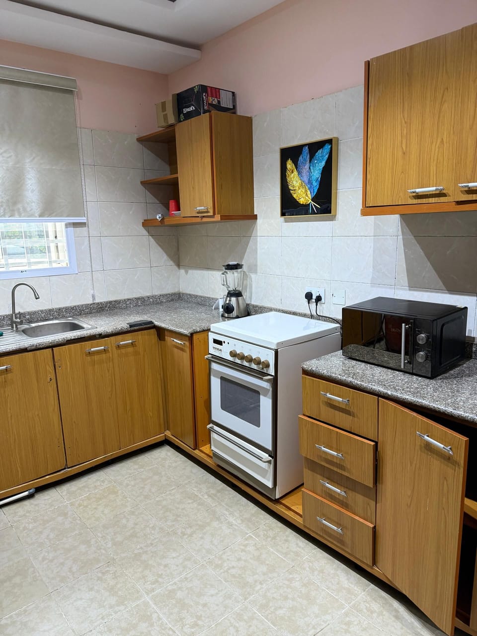 Economy Apartment, Balcony, City View | Private kitchen | Fridge, microwave, oven, stovetop