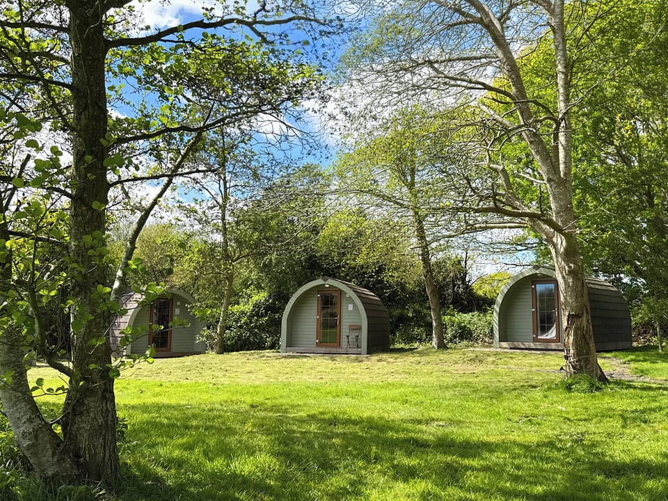 Economy Cabin, Garden View | Front of property