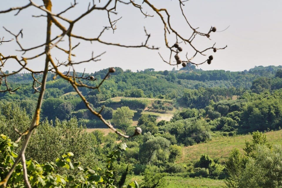 Land view from property