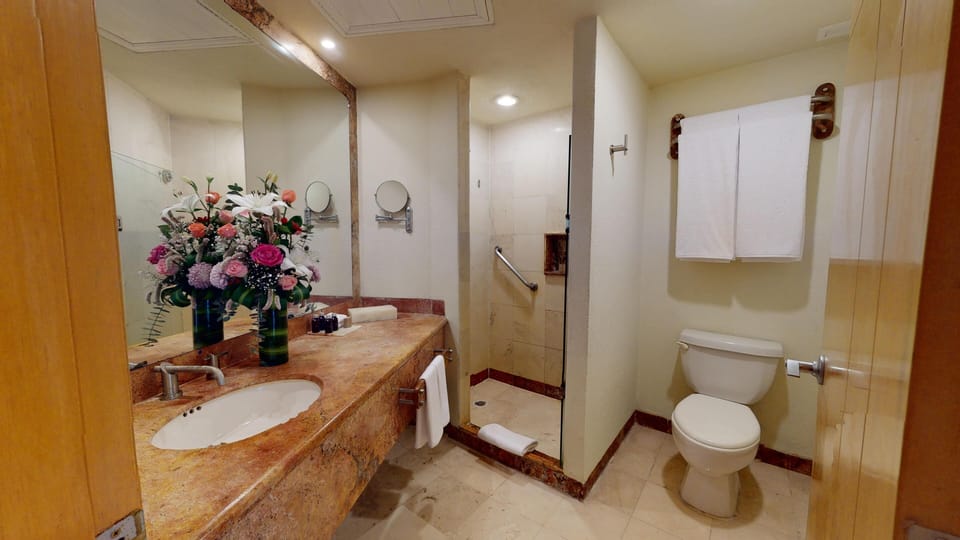 Shower, free toiletries, hair dryer (on request), towels