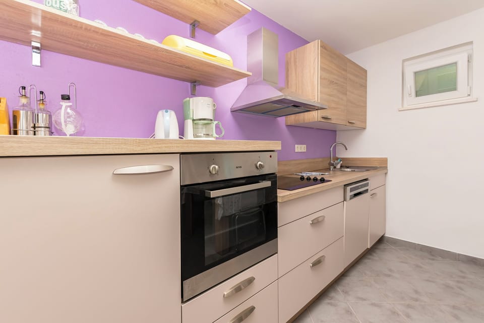 Apartment (A1) | Private kitchen | Fridge, oven, stovetop, dishwasher