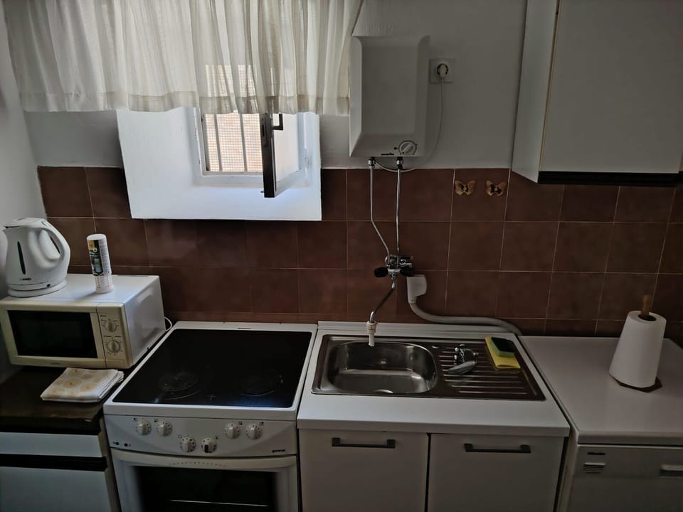 Apartment (A1) | Private kitchen