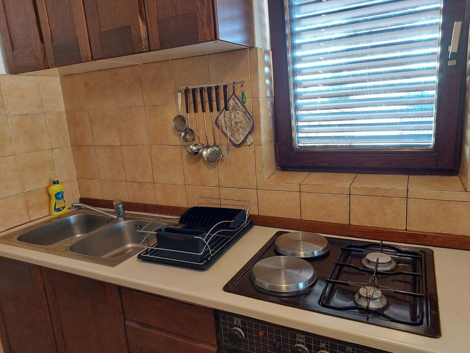Apartment (A1) | Private kitchen | Fridge, microwave, oven, stovetop