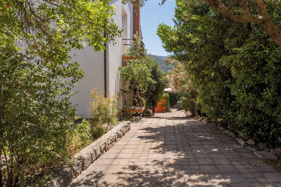 Apartment (A1) | Courtyard