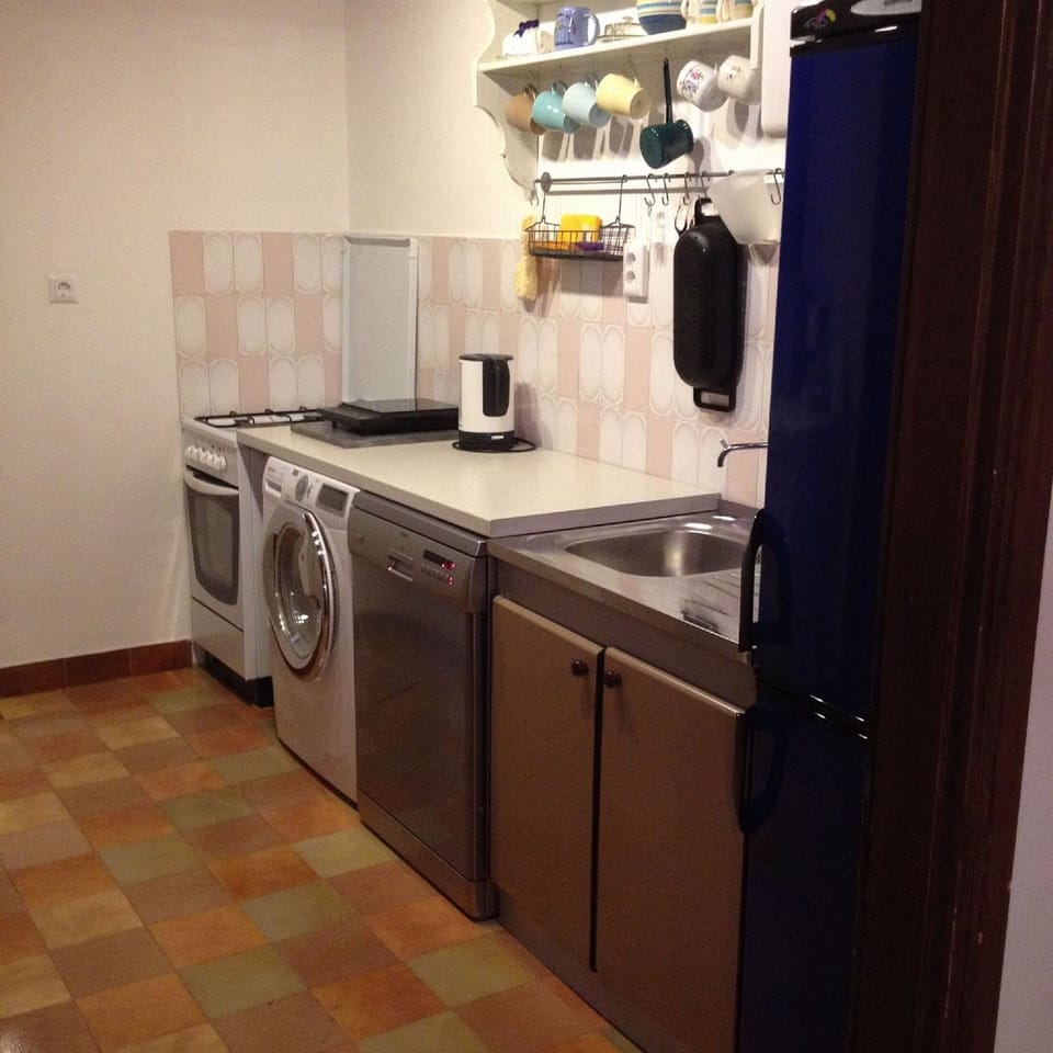Apartment (A1) | Private kitchen | Fridge, microwave, oven, stovetop