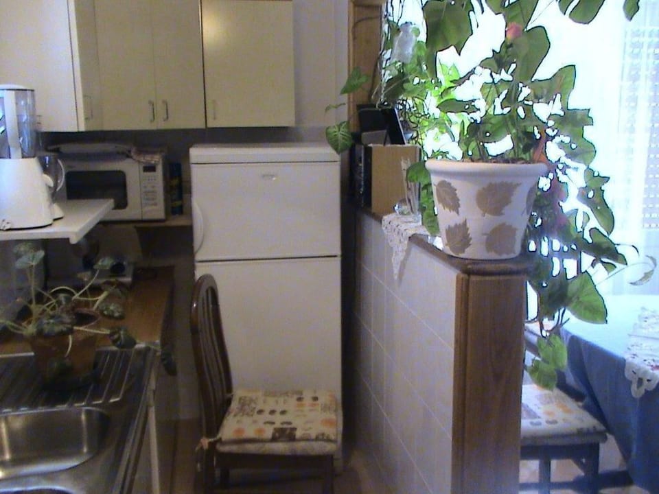 Apartment (A1) | Private kitchen | Fridge, microwave, oven, stovetop