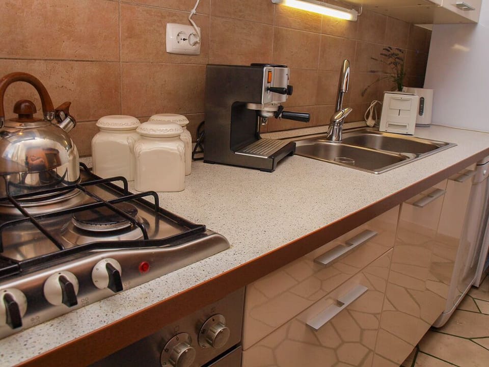 Apartment (A1) | Private kitchen | Fridge, microwave, oven, stovetop