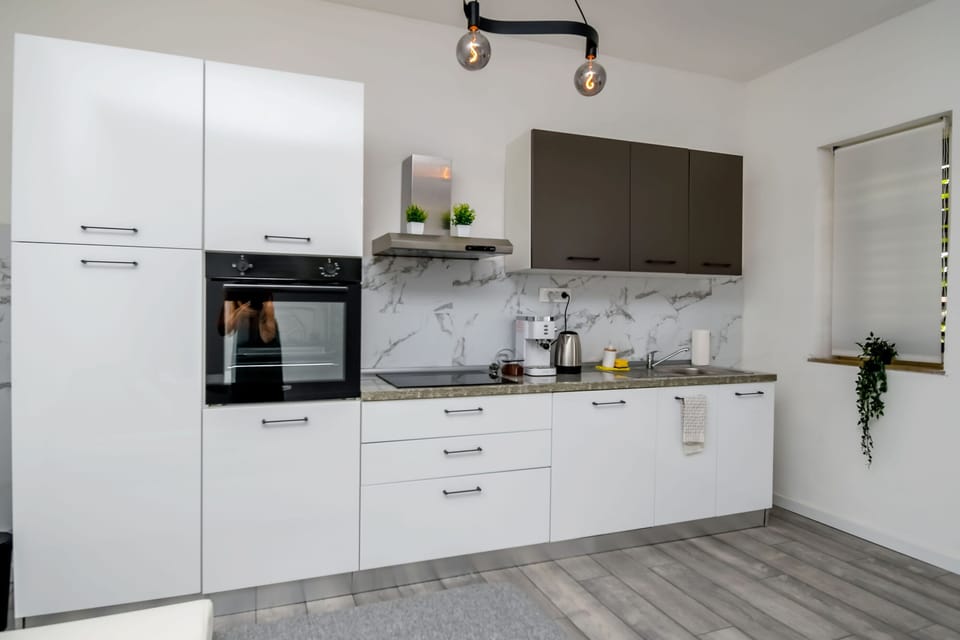 Apartment (A1) | Private kitchen | Fridge, microwave, oven, stovetop
