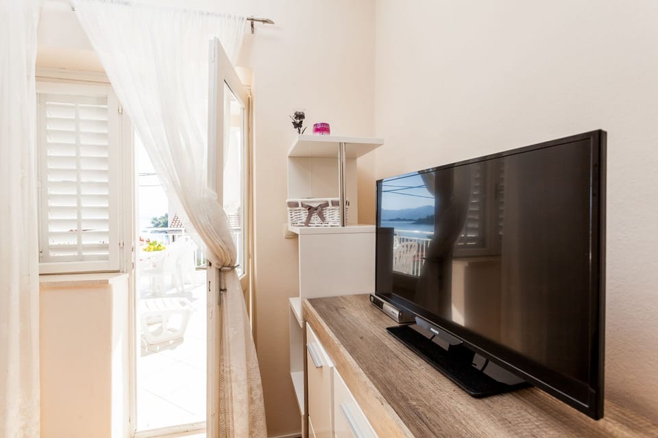 Television