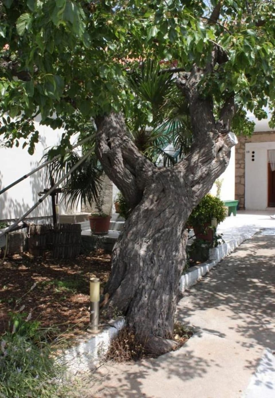 Courtyard