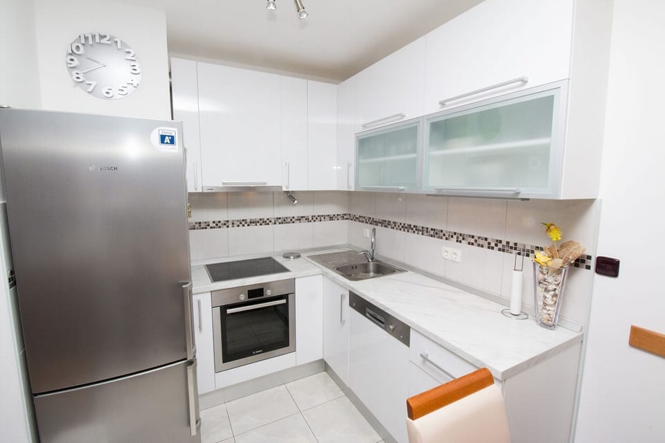 Apartment (A1) | Private kitchen | Fridge, oven, stovetop, dishwasher