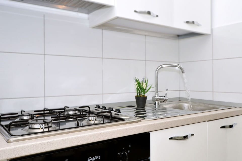 House | Private kitchen | Fridge, microwave, oven, stovetop