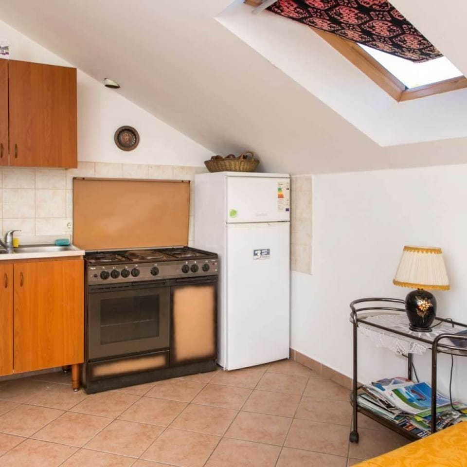 Apartment (A1) | Private kitchen | Fridge, oven, cookware/dishes/utensils, freezer