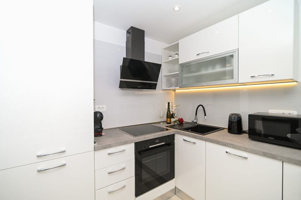 Apartment (A1) | Private kitchen | Fridge, microwave, oven, stovetop