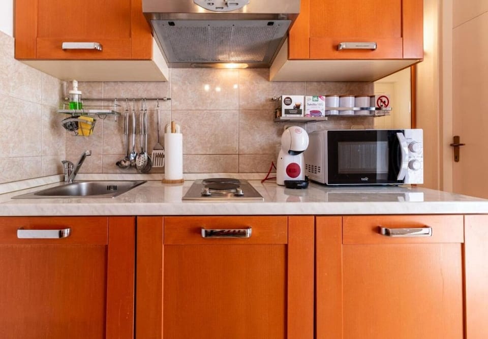 Apartment (A1) | Private kitchen | Fridge, microwave, stovetop, dishwasher