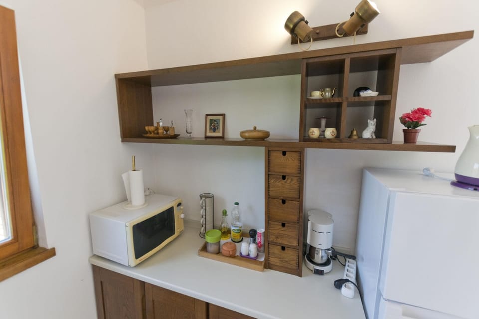 Apartment (A1) | Private kitchen | Fridge, microwave, oven, stovetop