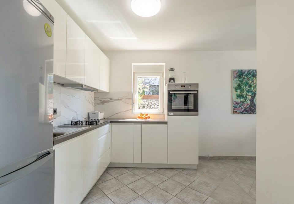House | Private kitchen | Fridge, oven, stovetop, dishwasher