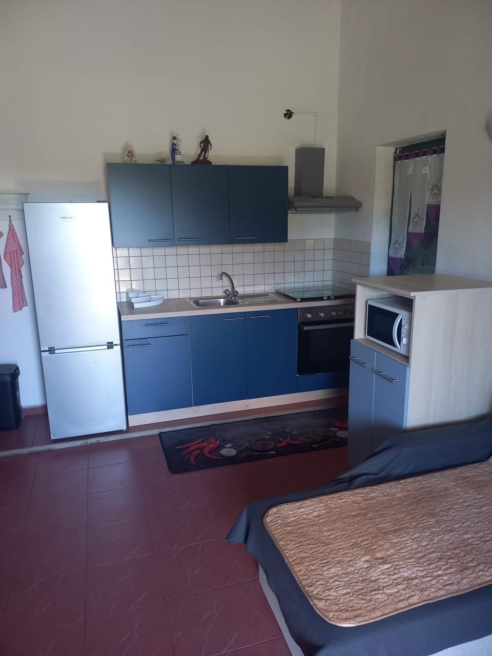Apartment (A1) | Private kitchen | Fridge, microwave, stovetop, electric kettle
