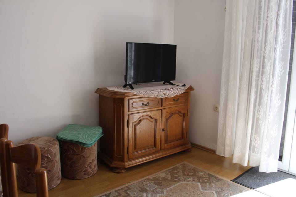 Television