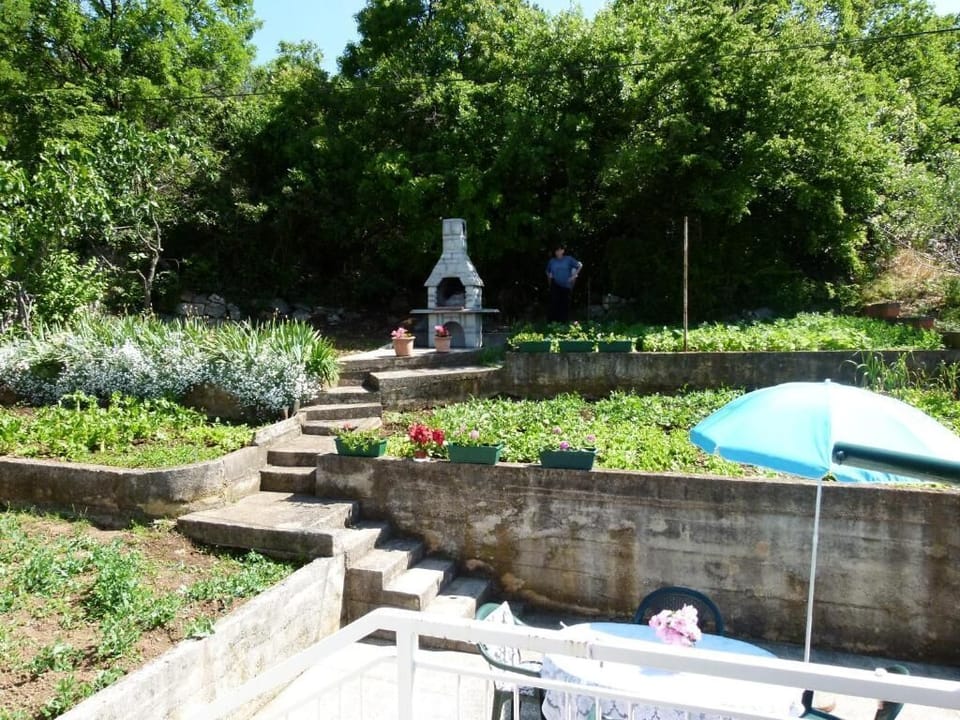 BBQ/picnic area