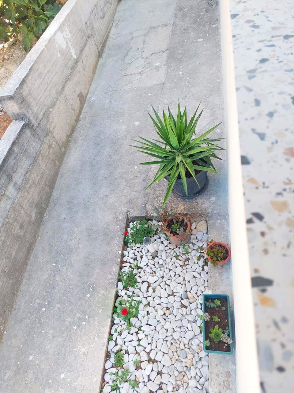 House | Courtyard