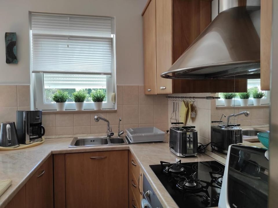 Apartment (A1) | Private kitchen | Fridge, microwave, oven, stovetop