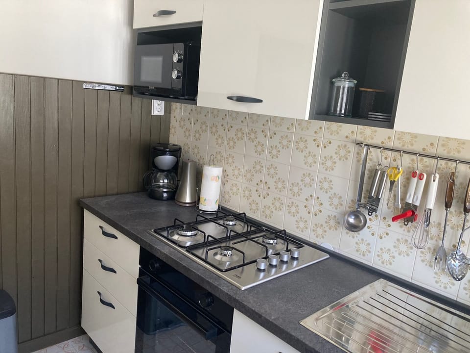 Apartment (A1) | Private kitchen | Fridge, microwave, oven, stovetop