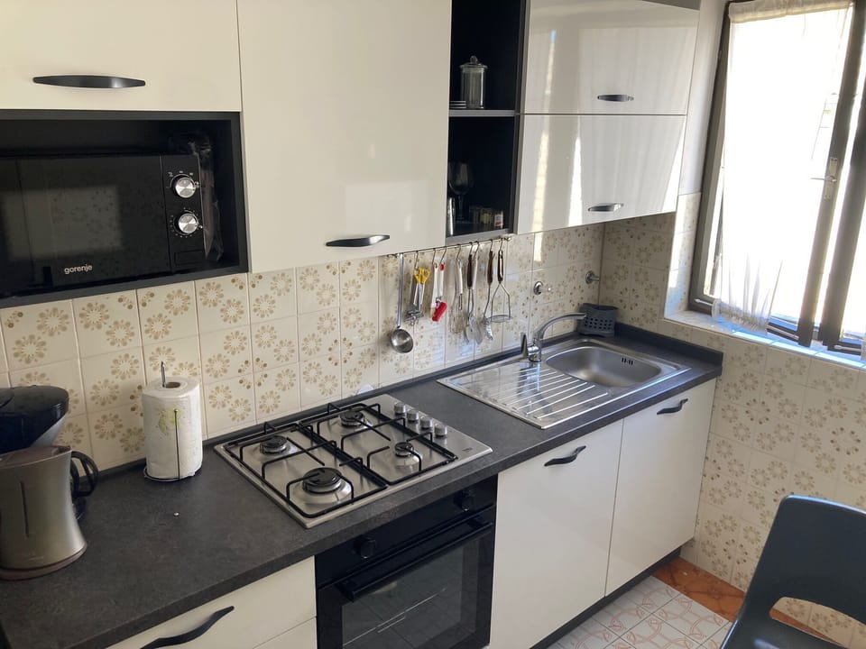 Apartment (A1) | Private kitchen | Fridge, microwave, oven, stovetop
