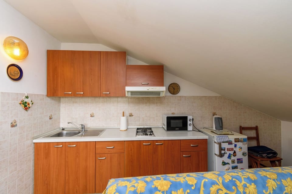 Apartment (A1) | Private kitchen | Fridge, microwave, stovetop, electric kettle