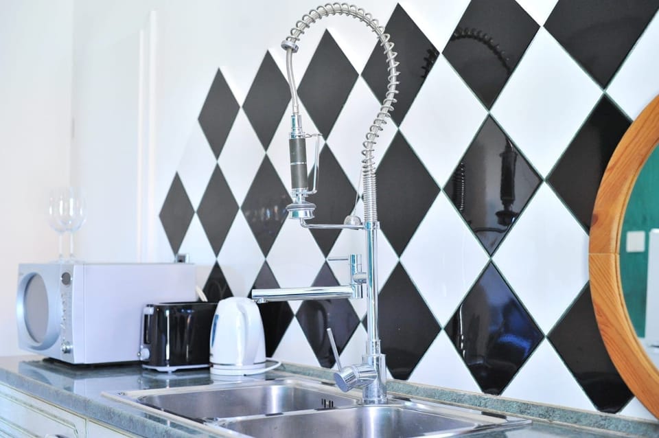 Apartment (A1) | Private kitchen | Fridge, microwave, oven, stovetop